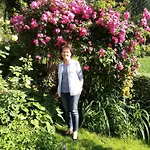 Blumenpension Strauss - 3*