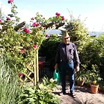 Blumenpension Strauss - בית הארחה אוסיאך
