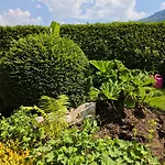 Blumenpension Strauss - 3* אוסיאך