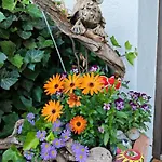 Blumenpension Strauss 3* Ossiach