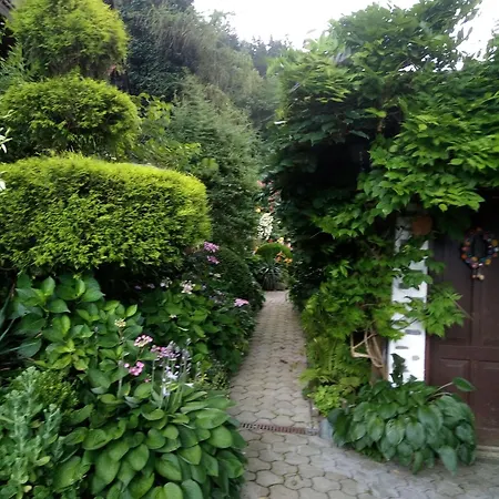 Blumenpension Strauss - Gasthuis