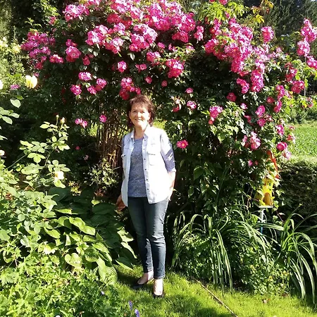 Blumenpension Strauss - 3*