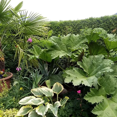 Blumenpension Strauss - אוסיאך