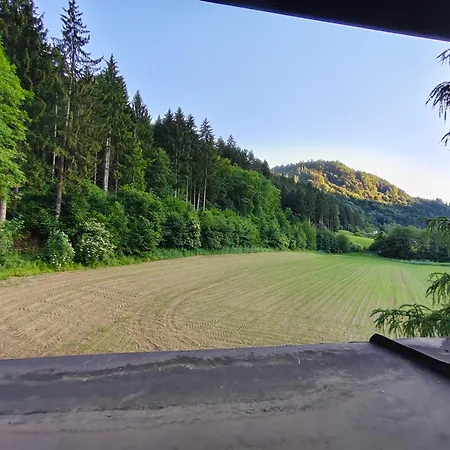 Blumenpension Strauss - 3*