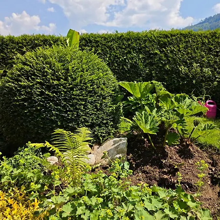 Blumenpension Strauss - 3* Ossiach