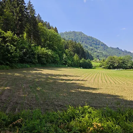 Blumenpension Strauss - 3* Ossiach