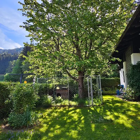 Blumenpension Strauss - 3*