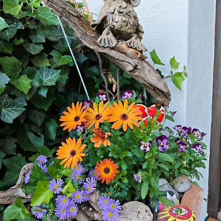 Blumenpension Strauss - 3* Ossiach