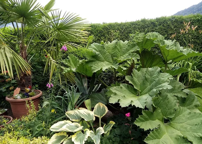 Blumenpension Strauss - Ossiach