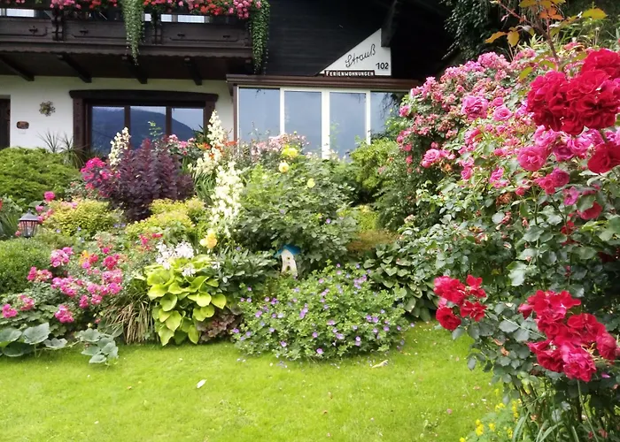 Guest house Blumenpension Strauss -