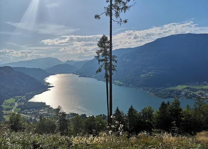 Blumenpension Strauss - Guest house 3*