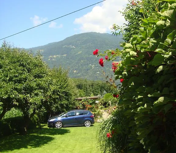 Guest house Blumenpension Strauss -